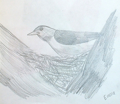 By Emma